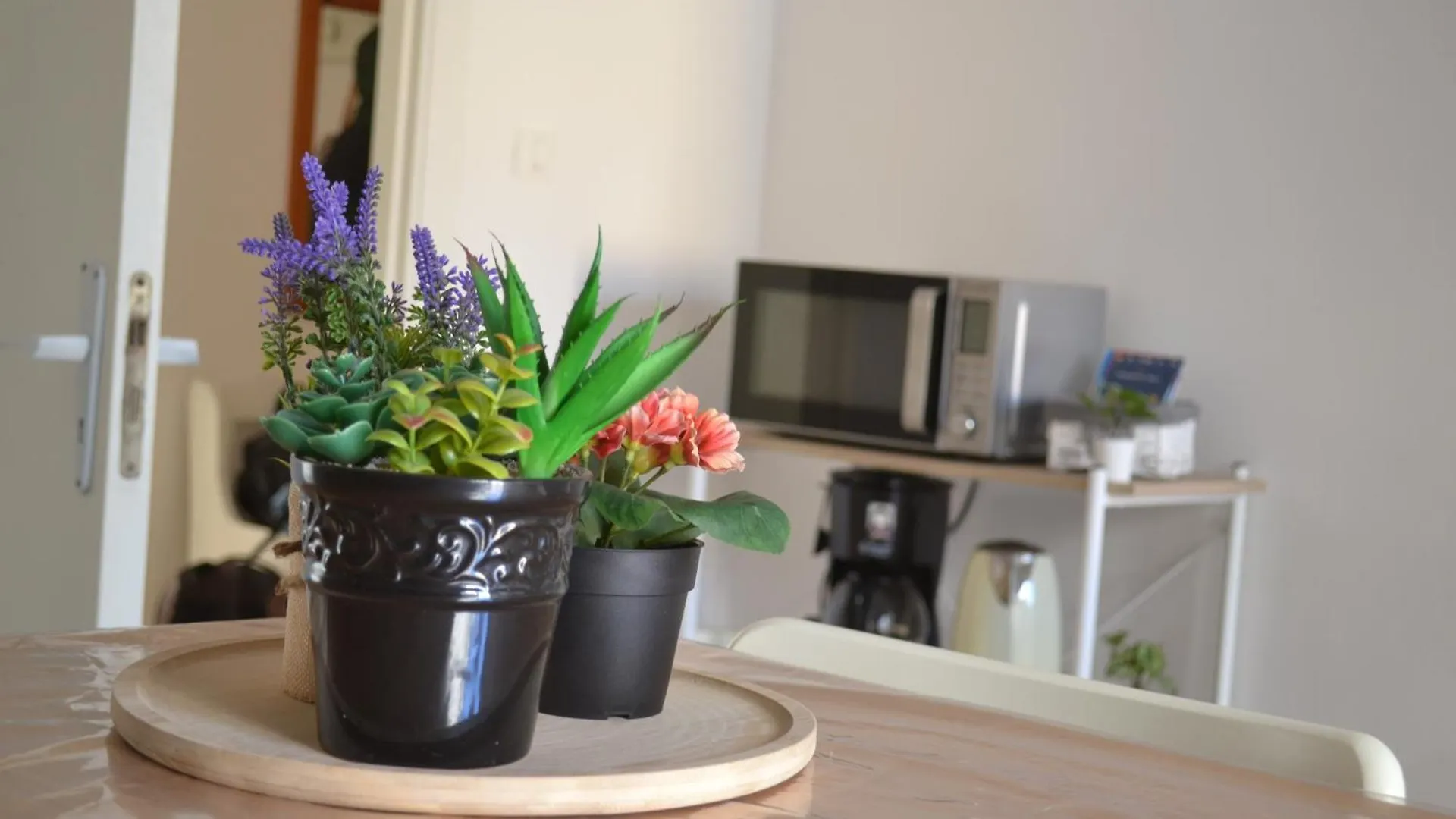 Apartment 4 Country Side - City Center Palermo